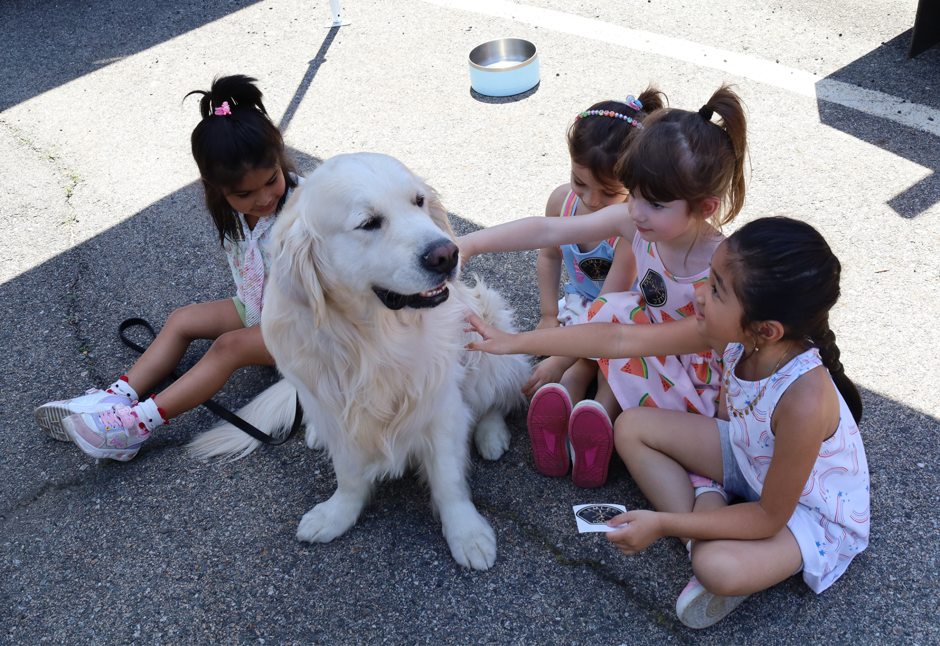 Chelmsford Integrated Preschool (CHIPS) hosted its annual Touch-A-Truck event on Wednesday, June 3, allowing students to explore numerous town and emergency services vehicles.